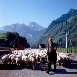 Arnold Odermatt: Wolfenschiessen, 1960. (c) Urs Odermatt, Windisch.